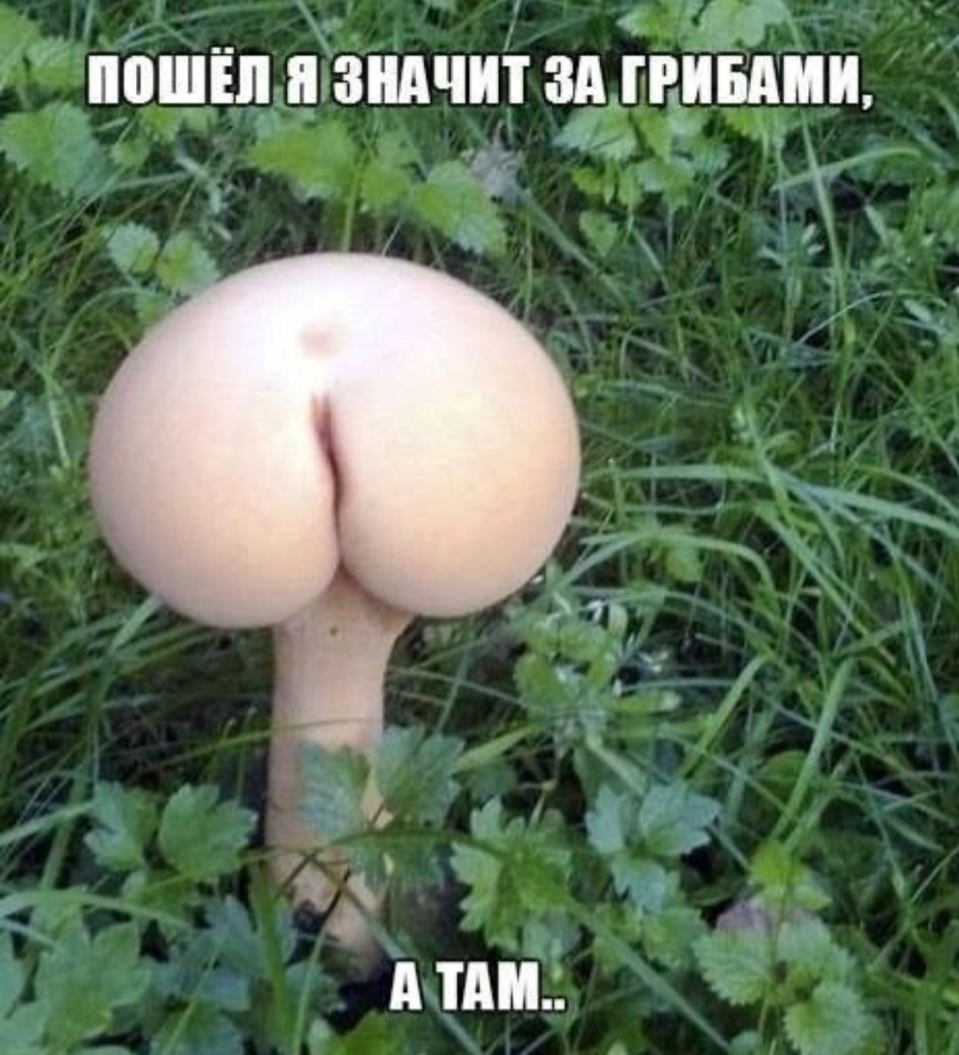 у ППШШЛЗШШТ ЗПХГРПЦИП і