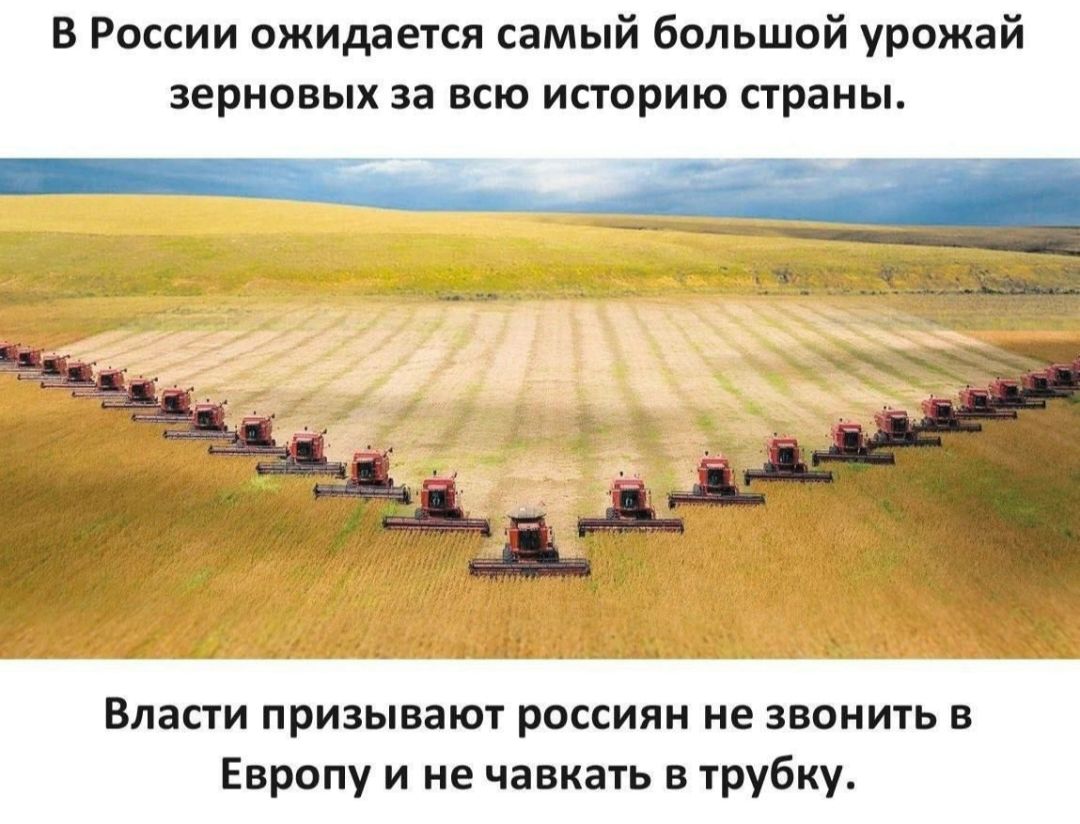 В России ожидается самый Большой урожай зерновых за всю историю страны Власти призывают россиян не звонить в Европу и не чавкать в трубку