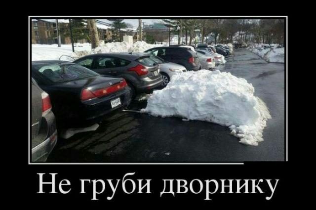 Не груби дворнику