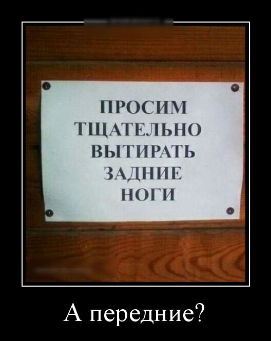ГНЦА ЬЛЫК ВЫТНРХГЬ ЁППНС НОГИ А передние