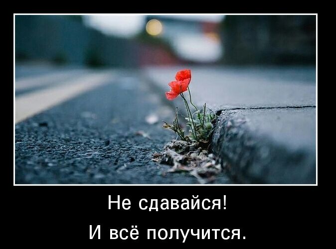 Не сдавайся И всё получится