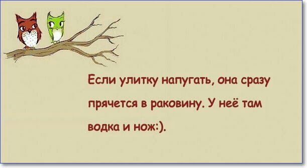 Если улитку напугать она сразу прячется в раковину У неё там водка и нож
