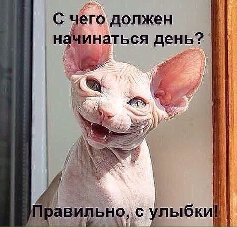 С негодолжен нёЧинаться день