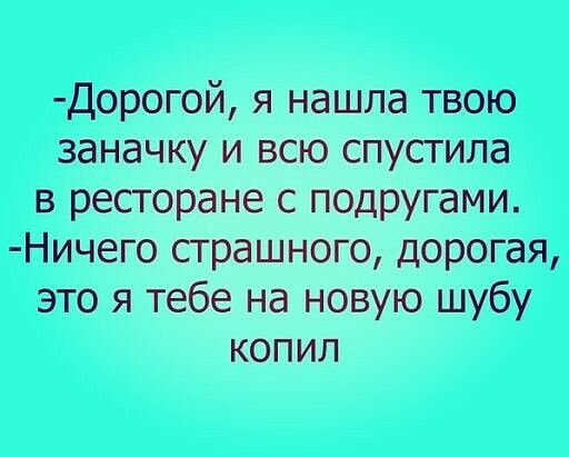 Дорогой я нашла твою заначку и всю спустила в ресторане с ПОДРУГами Ничего страшного дорогая это я тебе на новую шубу копил