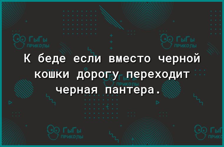 К беде если вместо черной КОШКИ ДОРОГУ переходит черная пантера