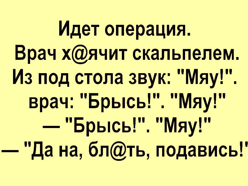 Идет операция Врач хячит скальпелем Из под стола звук Мяу врач Брысь Мяу Брысь Мяу Да на блть подавись