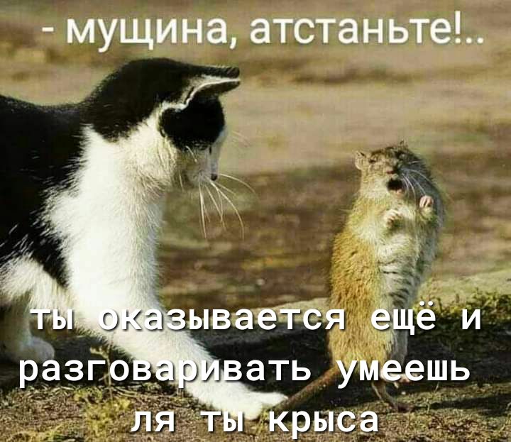 мущина атстаньте ываетёя ёдё и ать умеешь дкрыса гм