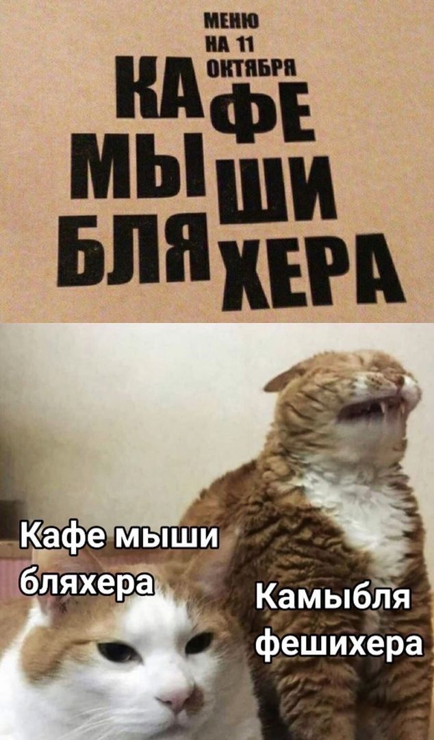 ШП 11 Камыб_11я фёшихёра