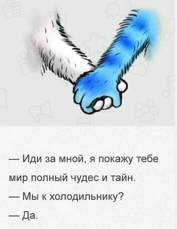 Иди за мной я покажу тебе мир полный чудес и тайн Мы к холодильнику Да