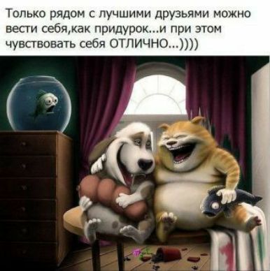 Только рядом с лучшими друзьями можно вести себя придуроки при этом чувствовать себя отлично
