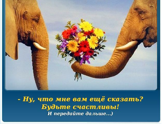 Ну что мне вам ещё сказать Будьте счастливы И передайте дальше
