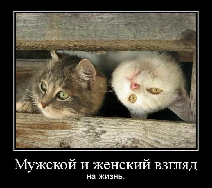 Мужской И женский взгляд на ЖИЗНЬ
