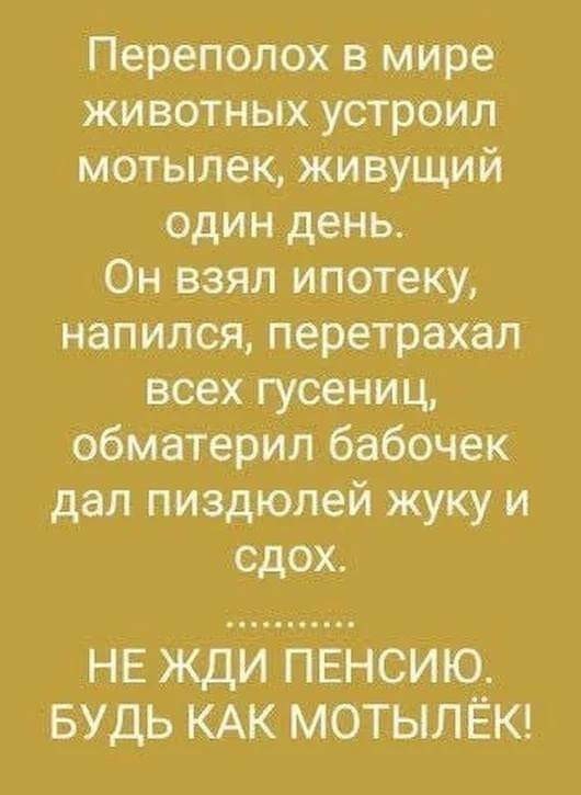 Переполох в мире животных устроил мотылек живущий один день Он взял ипотеку напился перетрахал всех гусениц обматерил бабочек дал пиздюлей жуку и сдох НЕ ЖДИ ПЕНСИЮ БУДЬ КАК МОТЫЛЁК