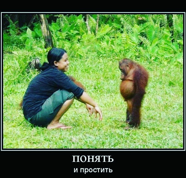 ПОНЯТЪ и простить