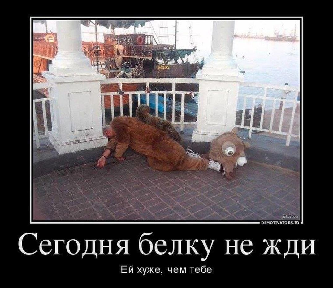 101510 Сегодня белку не ЖД Ей хуже чем тебе