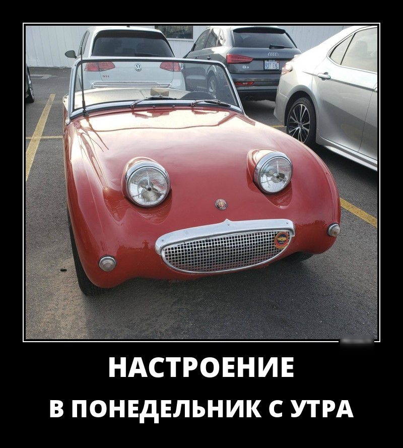НАСТРОЕНИЕ В ПОНЕДЕЛЬНИК С УТРА