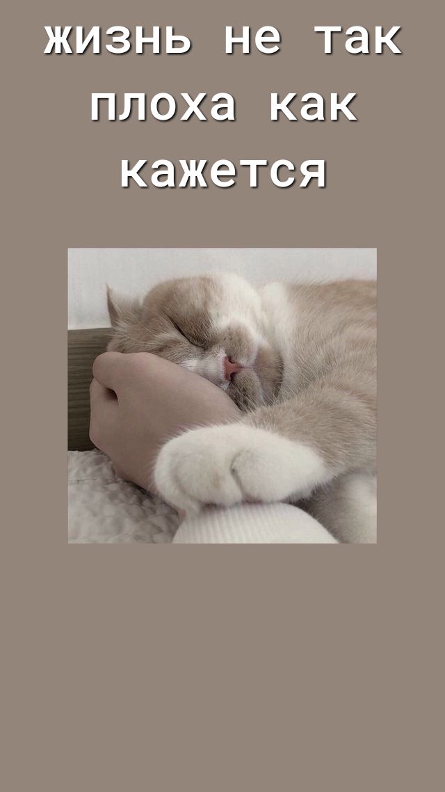 ЖИЗНЬ не так ПЛОХЭ КЭК КЭЖЭТСЯ