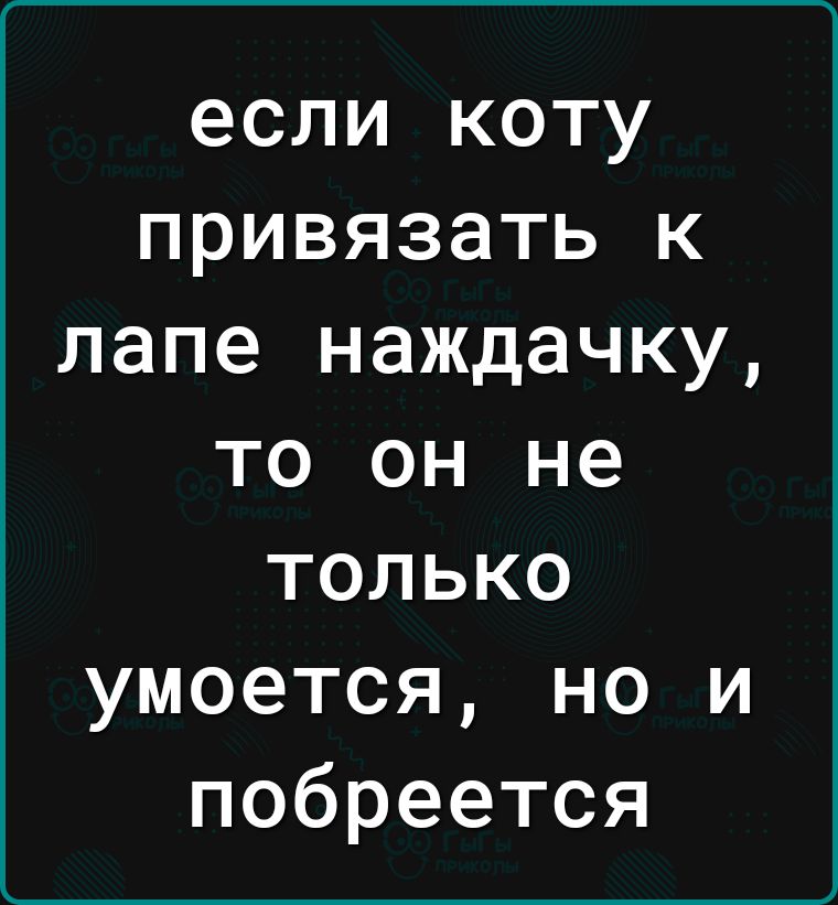 если коту привязать к папе наждачку то он не только умоется но и побреется