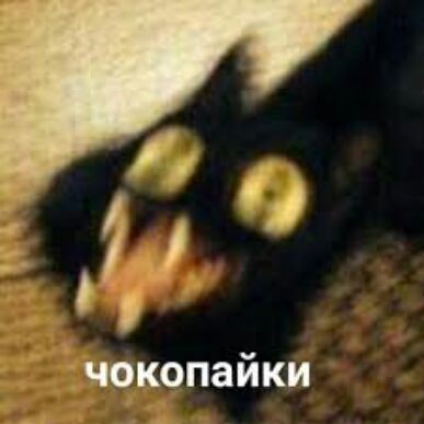 чокопайки