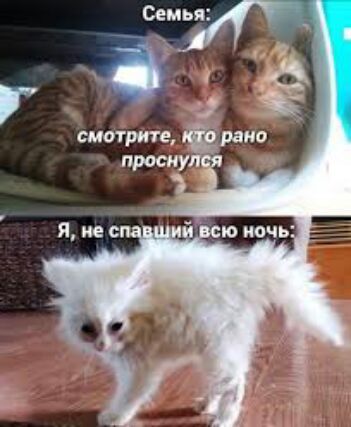 і и смотрите трапа просиу гу