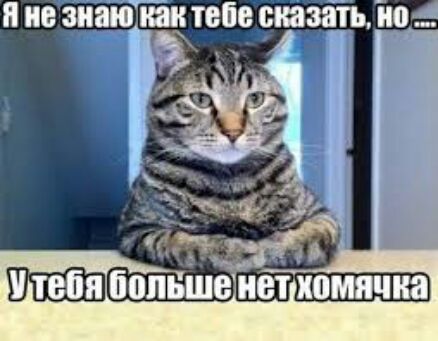 я не знаю Щ 1126038883111 ио попьіце