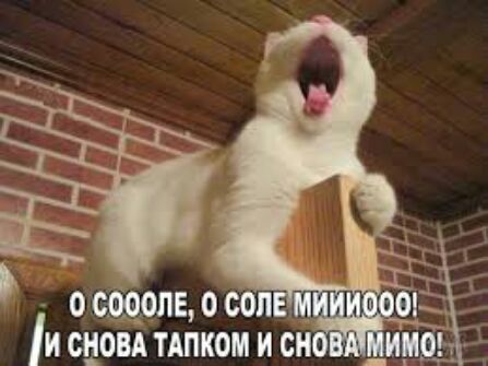 ощшьосоп _ и а_юи тдпком и сн