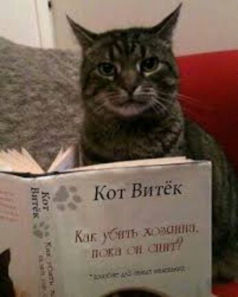 КОТ ВИГЁК пшпш НЮ ім 1 и мы у 1Н