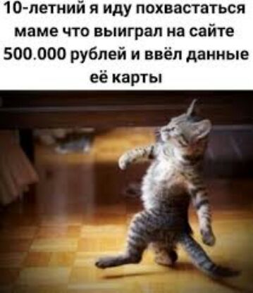 10летний я иду похвастаться маме что выиграл на сайте 500000 рублей и ввёл данные её карты