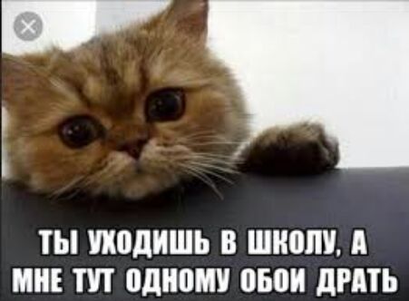 ТЫ уходишь В ШШШ Я МНЕ пп идиот 050 ЦМП