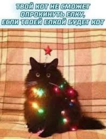 тап ШШ ППРПКИМУТЬ елку _пшздшлшдщизтш