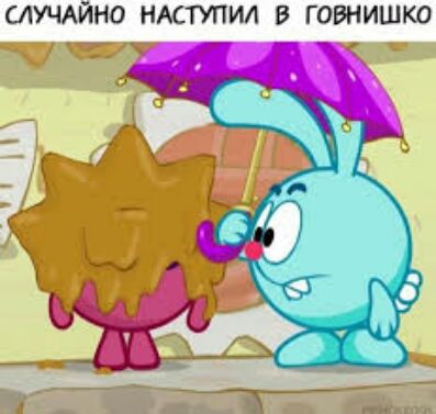 СЛУЧАЙНО НАСТУПИЛ В ГОВНИШКО тт