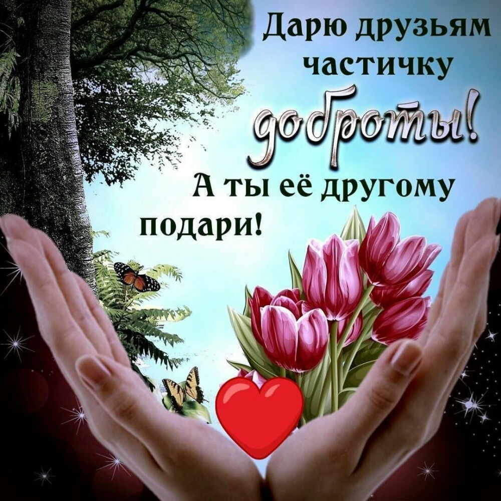 Дарю друзя частичку А ты её другому подари