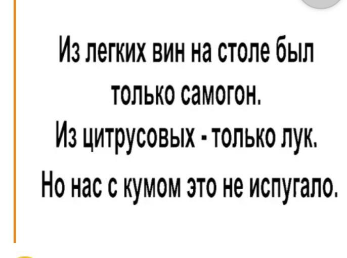 Из легких вин на столе был только самогон Из цитрусовых топько лук Но нас с кумом это не испугапо