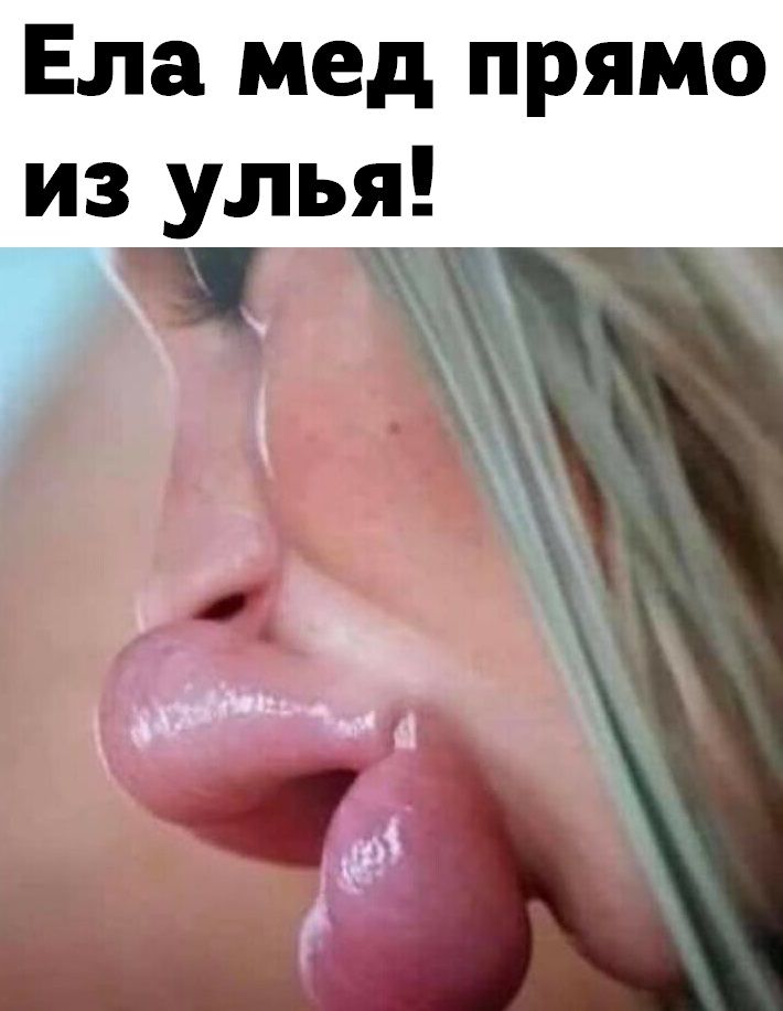 Ела мед прямо из улья