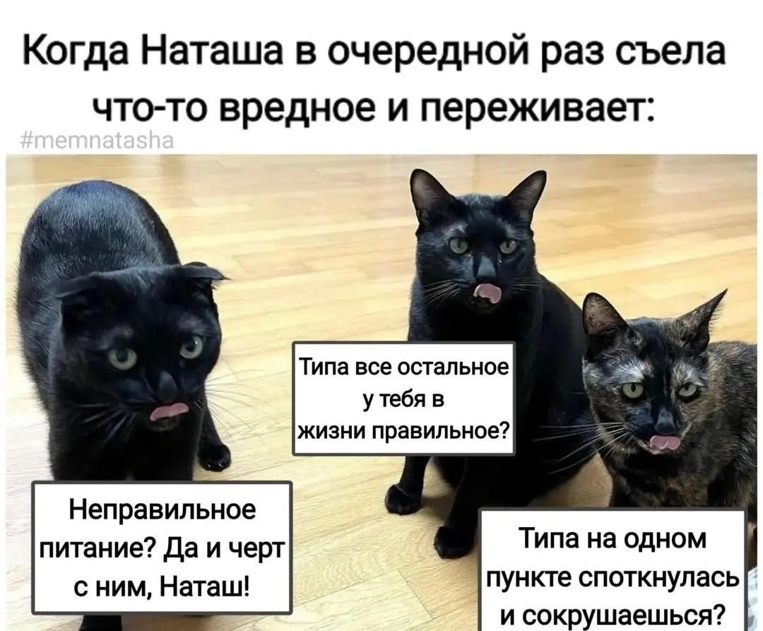Когда Наташа в очередной раз съела ЧТО ТО вредное И переживает ТИМ вое жильцов у тебя в ЖИЗНИ правильной Неправильное питание Да и черт с ним Нат зщ Типа на одном пункте споткнупась и сокрушаешься