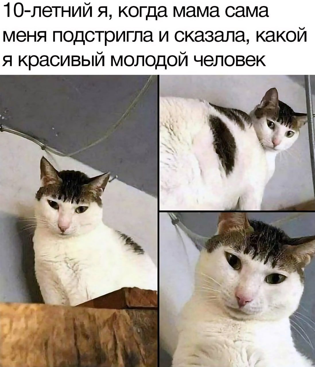 10летний я когда мама сама меня подстригла и сказала какой я красивый молодой человек
