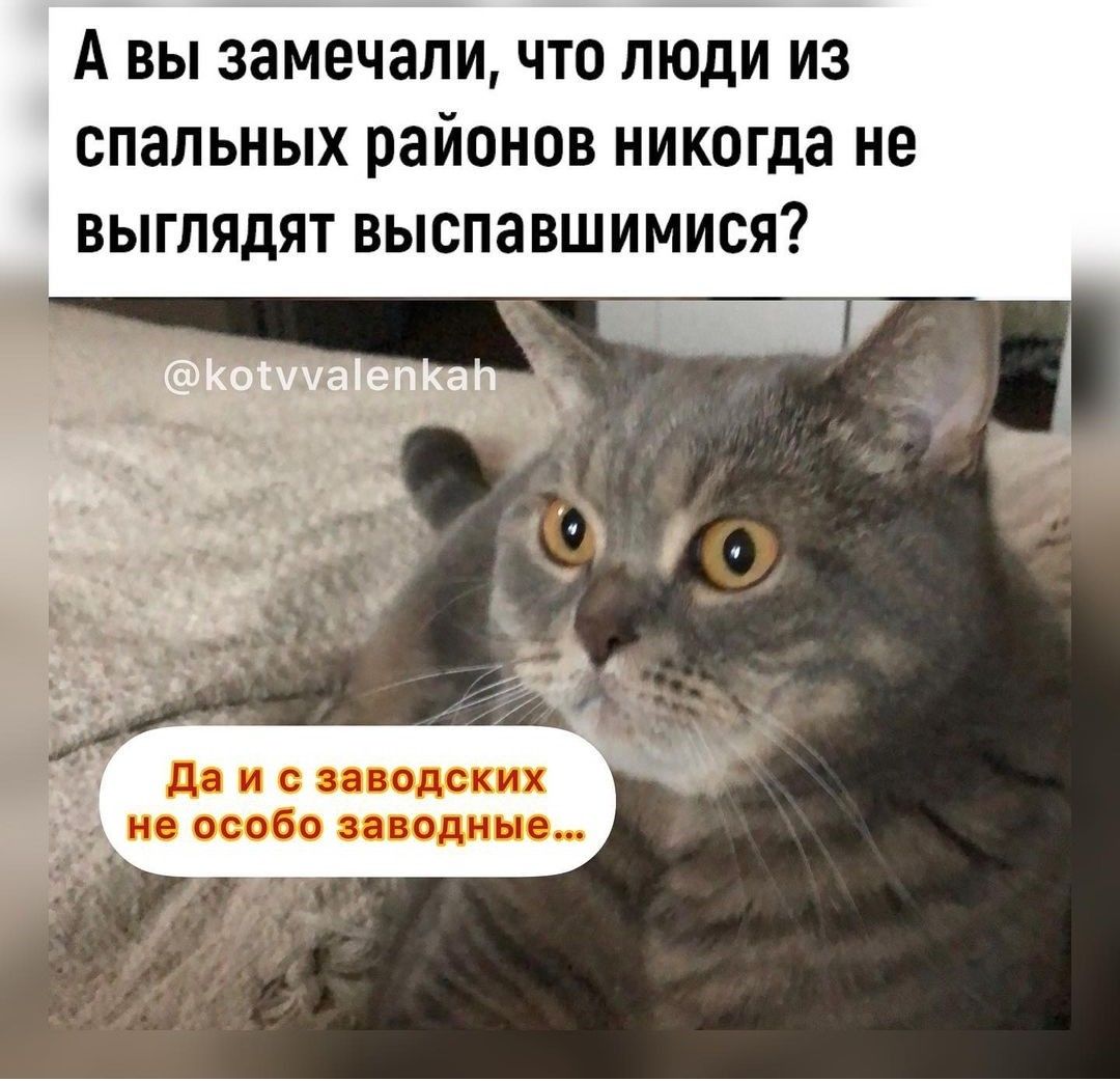 А ВЫ замечали что ЛЮДИ ИЗ СПЭПЬНЫХ РЗЙОНОВ никогда не ВЫГПЯДЯТ ВЫСПЗВШИМИСЯ