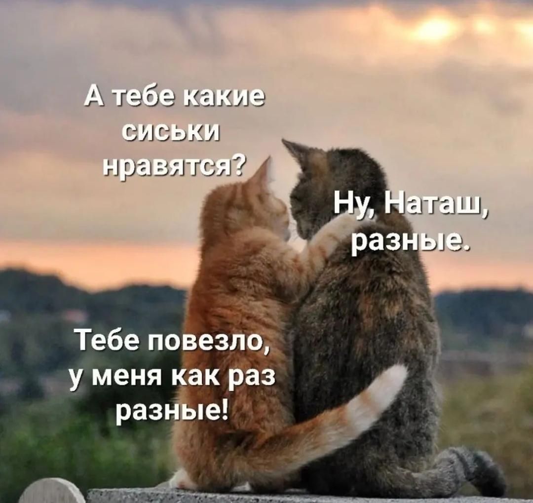 Гебе повезло у меня как раз разцъіе