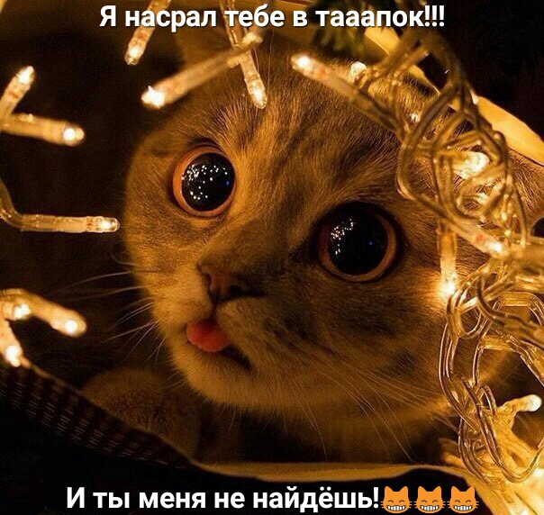 дава д И ты меня не найдёшь