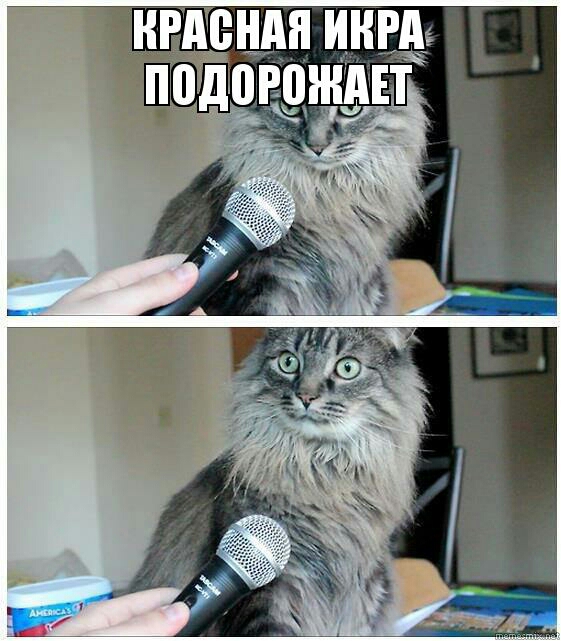 нвАенАя инвАь