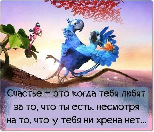 749 Т 5 Часть окогдё тебя за то что ты есть несмотря на то что у тебя ни хрена нет