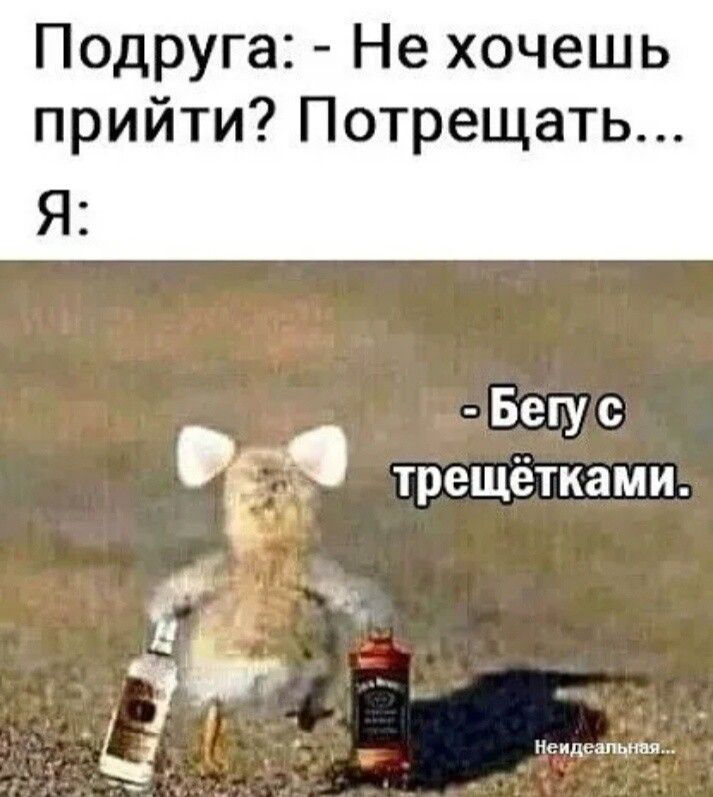 Подруга Не хочешь прийти Потрещать Бегус г трещётками г Неидеапцняж