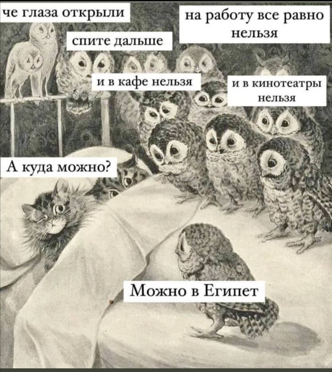 че глаза открыли на работу все равно нельзя И В КИНОТЕЗТРЬ нельзя А куда можно р
