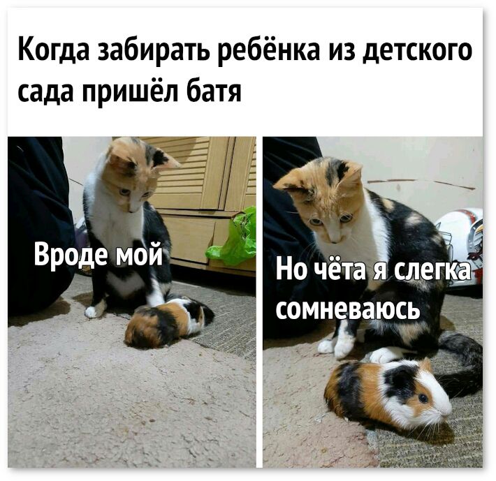 Когда забирать ребёнка из детского сада пришёл батя