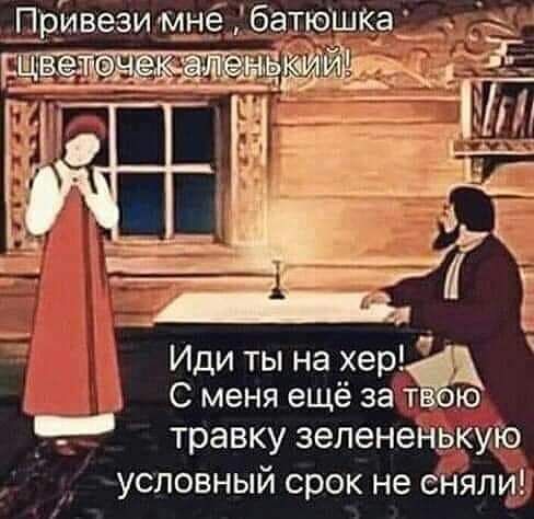 Х Иди ты на хетёд д _ С меня ещё за т ею ___ травку зелененщуіо _ условный срок не енял
