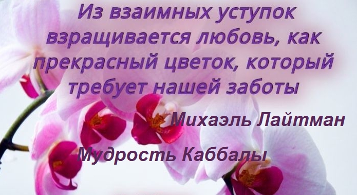 Из взаимных уступок _ взращивается любовь как еекрасный цветок который тре т ашей заботы