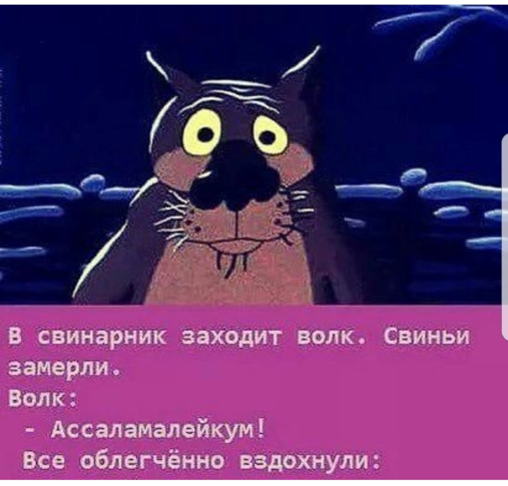 в свинарник заходит волк Свиньи замерли Волк Ассаламалейкум Все облегчённо вздохнули