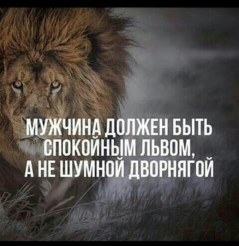 Ад 5 МУЖЧИНА должен выть спокойным львом днншумнои Ёдворнягпи