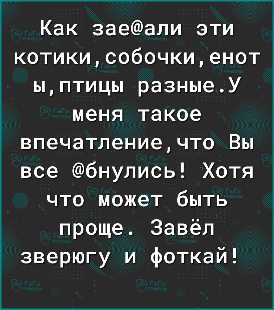 Как заеали эти котикисобочкиенот ыптицы разныеУ меня такое впечатлениечто Вы все бнулись Хотя что может быть проще Завел зверюгу и фоткай