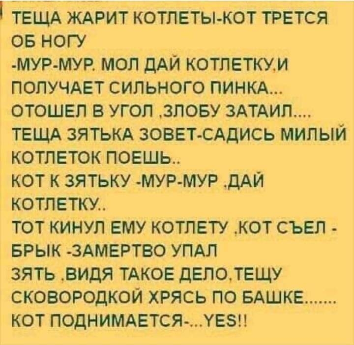 ТЕЩА ЖАРИТ котлеты кот трется ов ногу мур мур мол ДАЙ котлеткум попучдвт сильного пинкд отошел в угол злову 3АТАИП ТЕЩА зятым зоветсддись милый котлеток поешь кот к зятьку мурмур ДАЙ котлетки тот кинул ему котлету кот съел врык здмвртво УПАЛ зять видя ТАКОЕ двпотещу сковородкои хрясь по БАШКЕ кот поднимдвтся увзп
